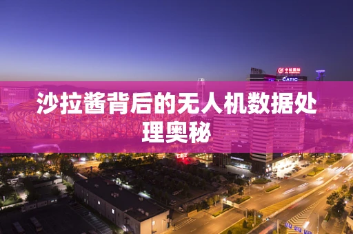 沙拉酱背后的无人机数据处理奥秘