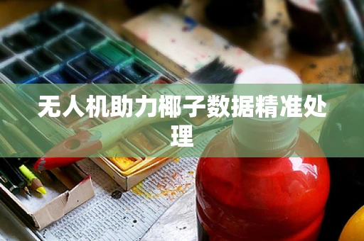 无人机助力椰子数据精准处理