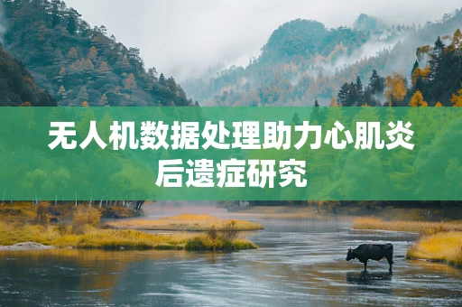 无人机数据处理助力心肌炎后遗症研究