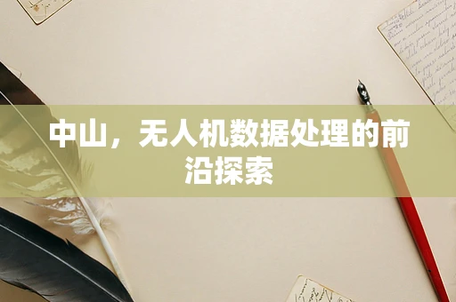 中山，无人机数据处理的前沿探索