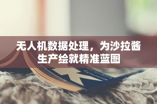 无人机数据处理，为沙拉酱生产绘就精准蓝图