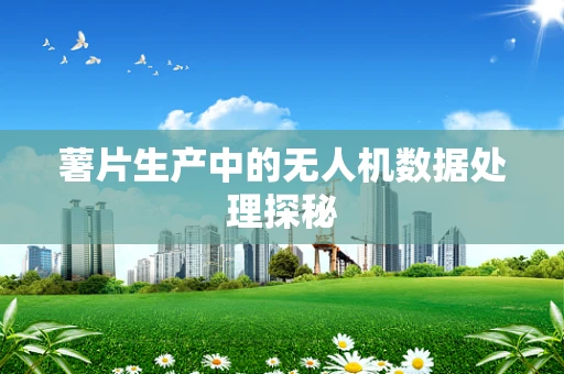 薯片生产中的无人机数据处理探秘