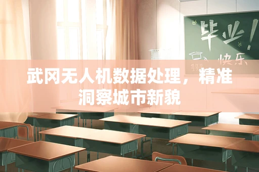 武冈无人机数据处理，精准洞察城市新貌