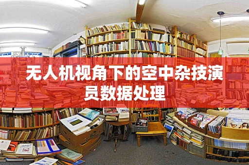 无人机视角下的空中杂技演员数据处理