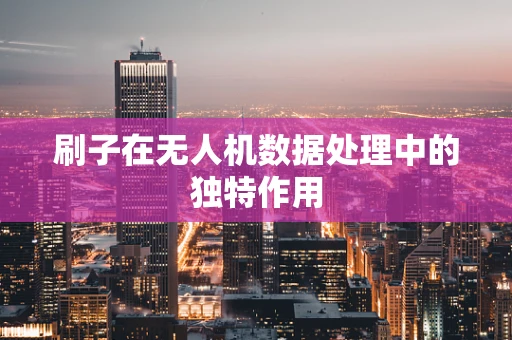 刷子在无人机数据处理中的独特作用