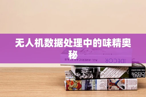 无人机数据处理中的味精奥秘