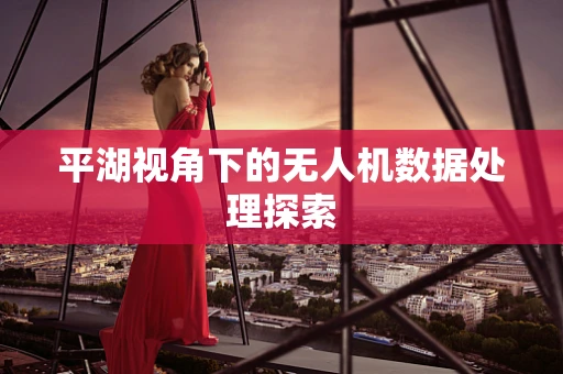 平湖视角下的无人机数据处理探索