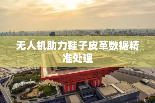 无人机助力鞋子皮革数据精准处理