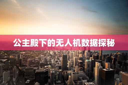公主殿下的无人机数据探秘
