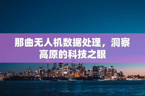 那曲无人机数据处理，洞察高原的科技之眼
