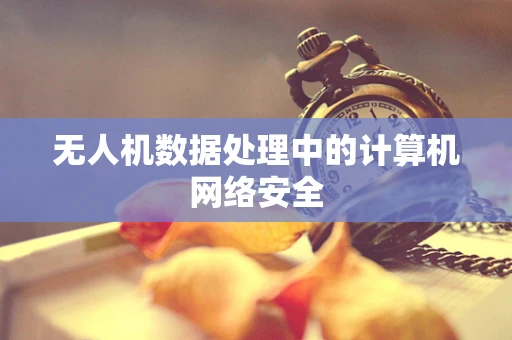 无人机数据处理中的计算机网络安全