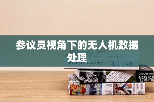 参议员视角下的无人机数据处理