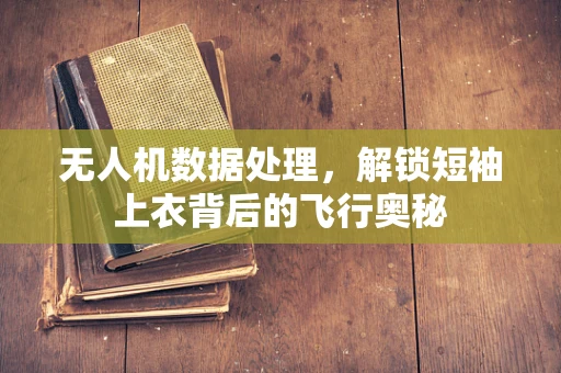 无人机数据处理，解锁短袖上衣背后的飞行奥秘