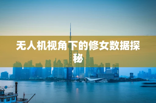 无人机视角下的修女数据探秘