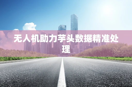 无人机助力芋头数据精准处理
