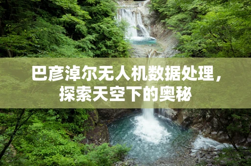 巴彦淖尔无人机数据处理，探索天空下的奥秘