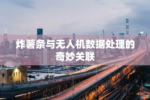 炸薯条与无人机数据处理的奇妙关联