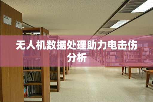 无人机数据处理助力电击伤分析