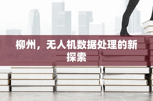 柳州，无人机数据处理的新探索