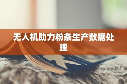 无人机助力粉条生产数据处理
