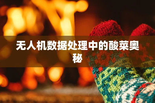 无人机数据处理中的酸菜奥秘