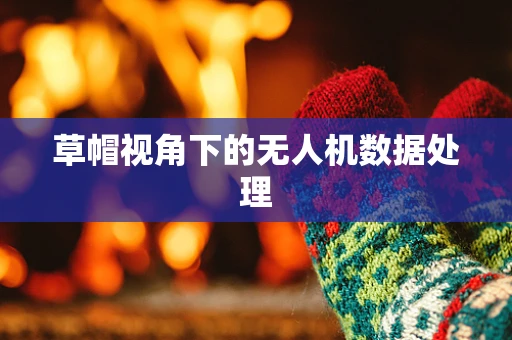 草帽视角下的无人机数据处理