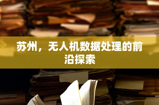 苏州，无人机数据处理的前沿探索