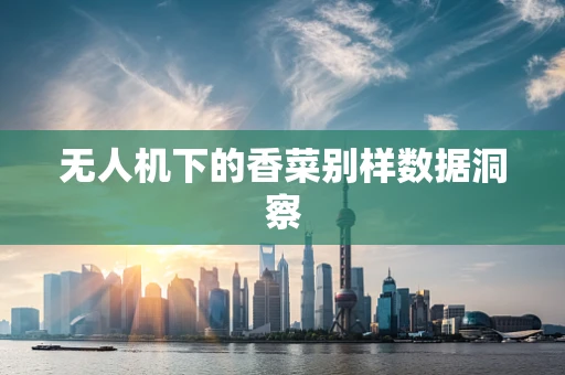 无人机下的香菜别样数据洞察
