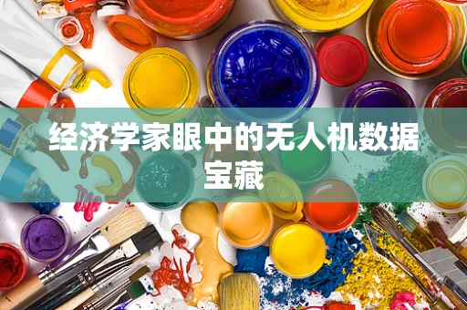 经济学家眼中的无人机数据宝藏