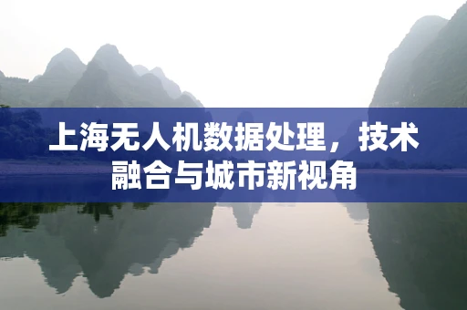 上海无人机数据处理，技术融合与城市新视角