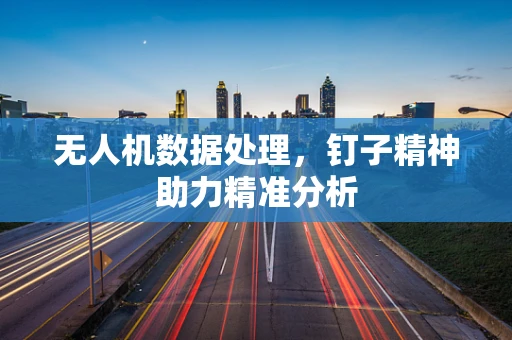 无人机数据处理，钉子精神助力精准分析