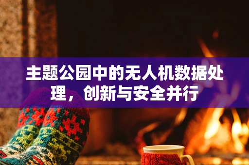 主题公园中的无人机数据处理，创新与安全并行