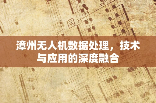 漳州无人机数据处理，技术与应用的深度融合