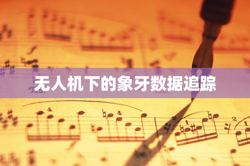 无人机下的象牙数据追踪