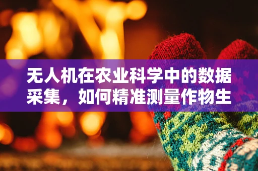 无人机在农业科学中的数据采集，如何精准测量作物生长参数？