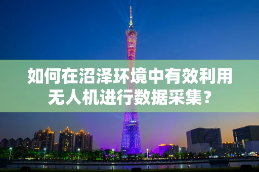 如何在沼泽环境中有效利用无人机进行数据采集？