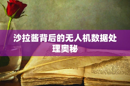 沙拉酱背后的无人机数据处理奥秘
