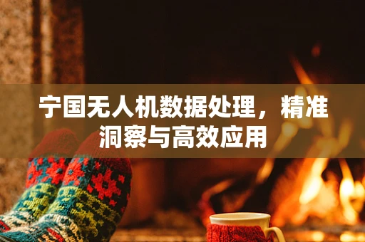 宁国无人机数据处理，精准洞察与高效应用