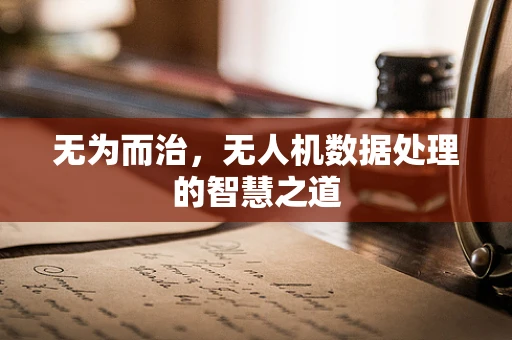 无为而治，无人机数据处理的智慧之道