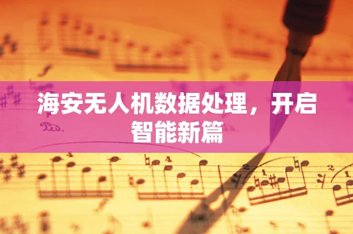 海安无人机数据处理，开启智能新篇