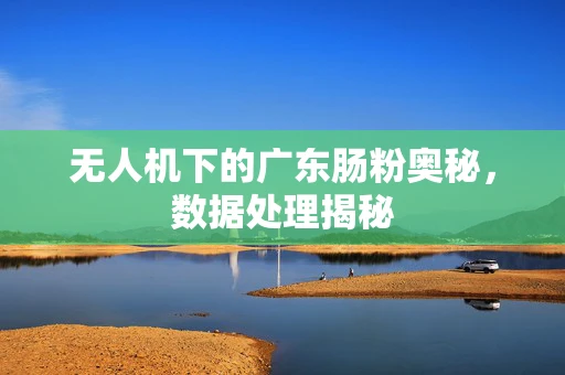 无人机下的广东肠粉奥秘，数据处理揭秘