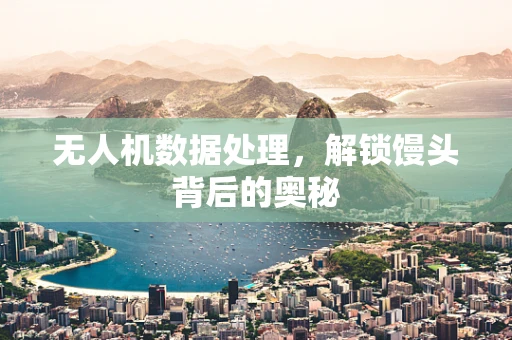 无人机数据处理，解锁馒头背后的奥秘