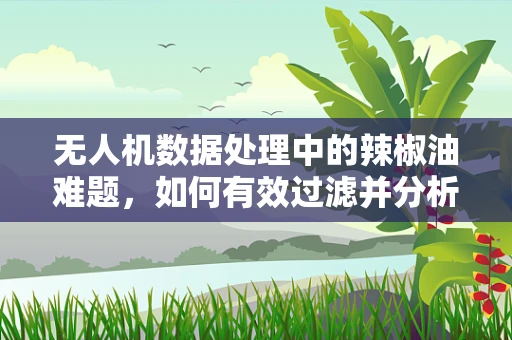 无人机数据处理中的辣椒油难题，如何有效过滤并分析高浓度数据流？