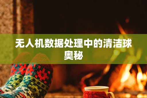 无人机数据处理中的清洁球奥秘