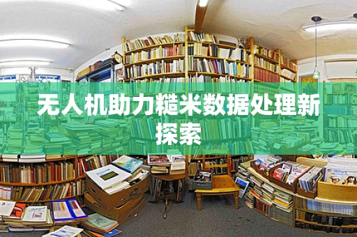 无人机助力糙米数据处理新探索