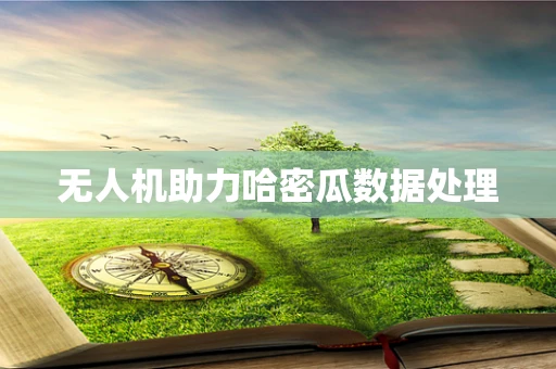 无人机助力哈密瓜数据处理