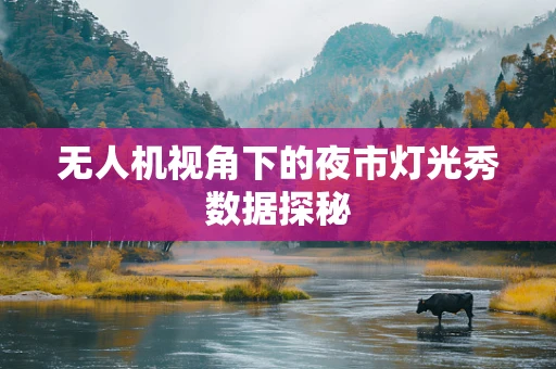 无人机视角下的夜市灯光秀数据探秘
