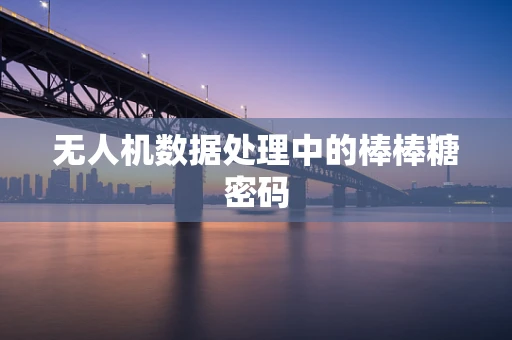 无人机数据处理中的棒棒糖密码