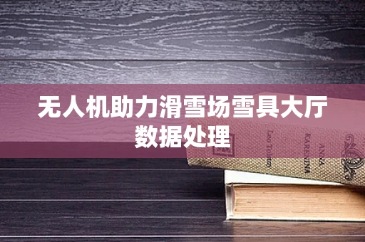 无人机助力滑雪场雪具大厅数据处理
